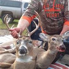2020 Deer Hunting